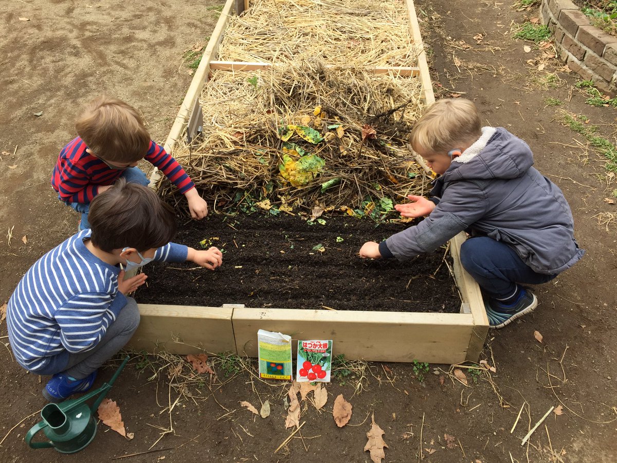 MSTokyoGarden's tweet photo. Today we sowed radish and carrot seeds #WeAreMST #MSTgarden https://t.co/zmAyq5DVPG