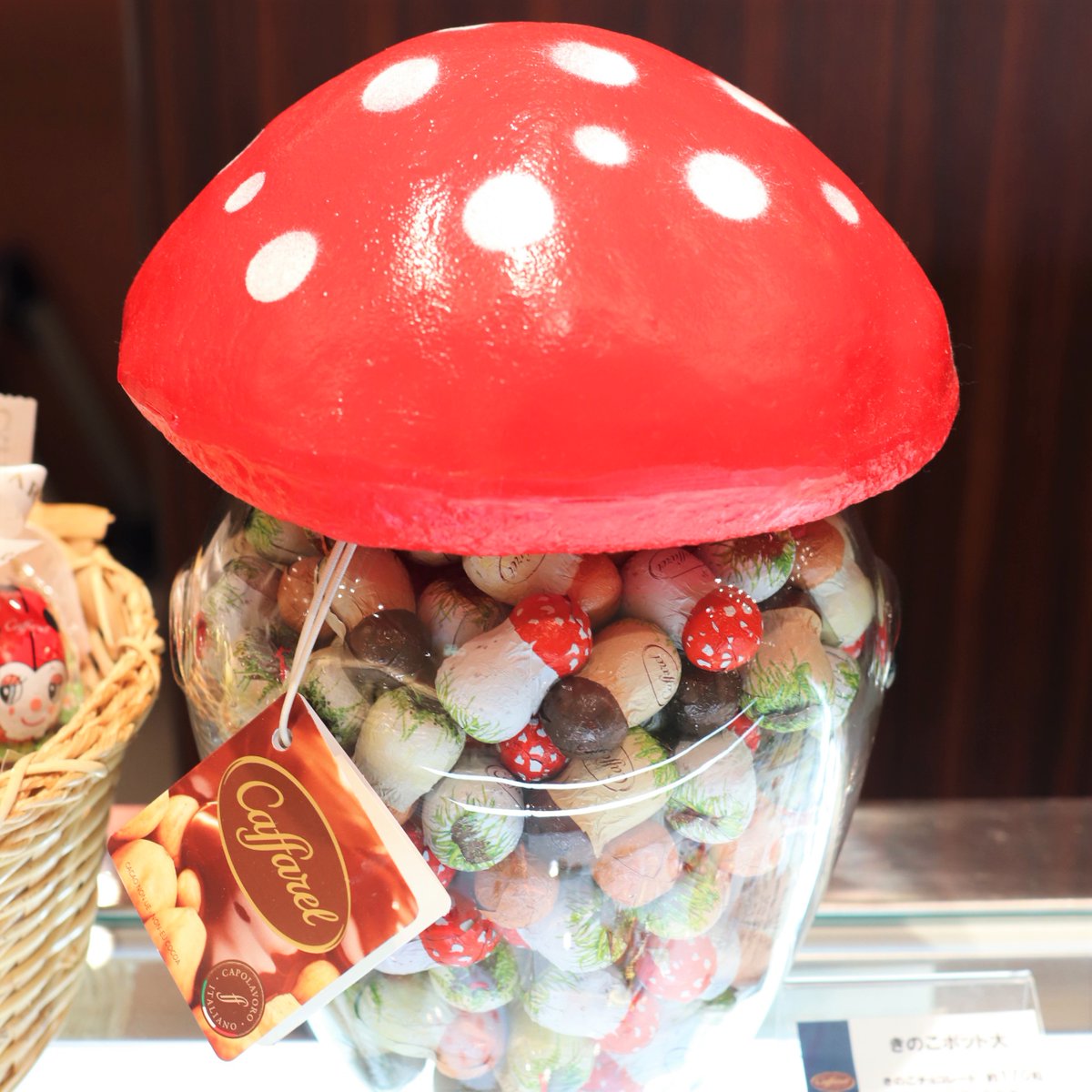伊勢丹グルメ Isetan On Twitter イタリア トリノの老舗チョコレートブランド カファレル のきのこポットたち 中をあけても きのこチョコレートがたくさん 14日 日 まで