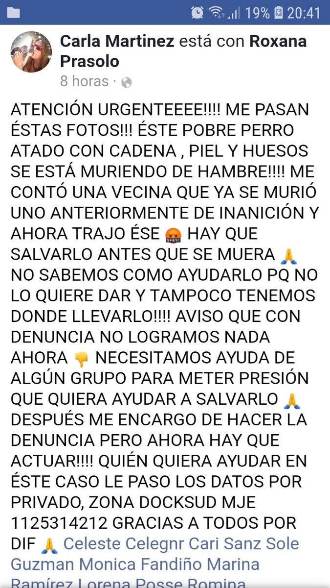RAQUEL TERESITA MAITA tweet media