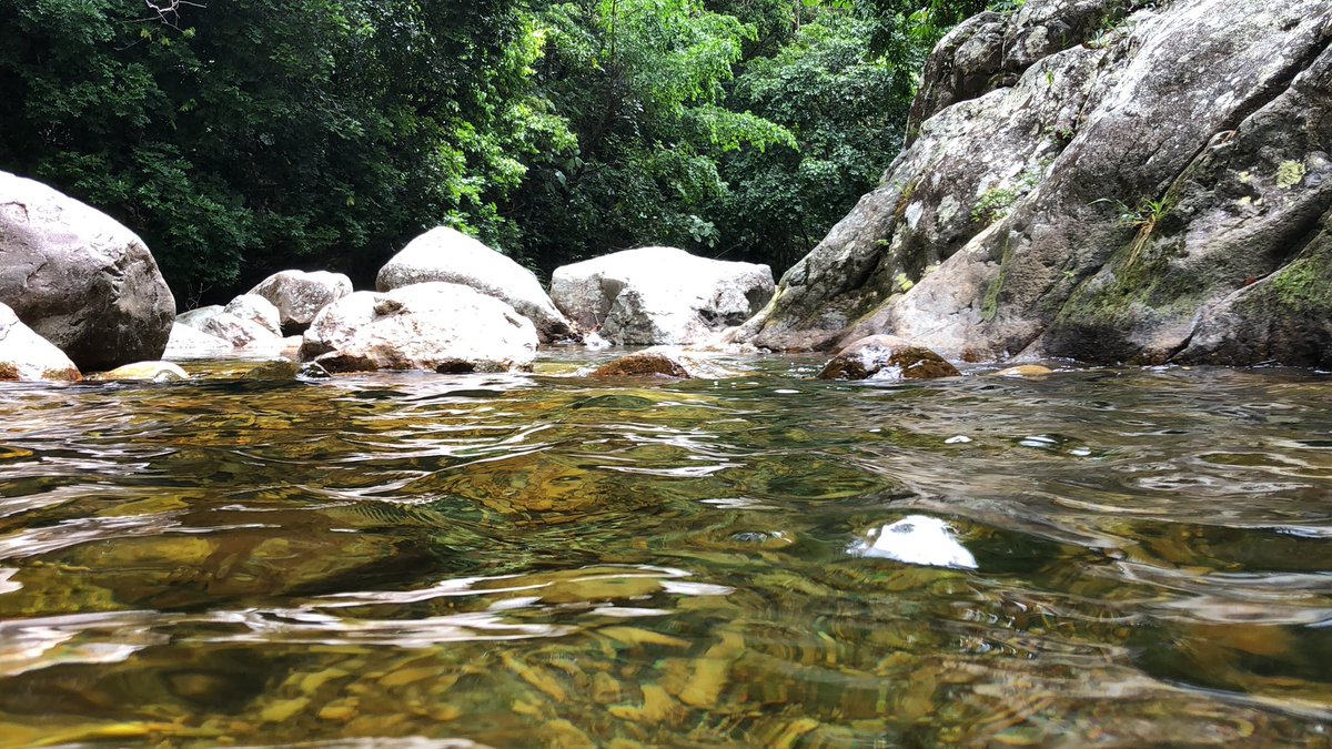 Estoy armando un trip para el Chorro del Tulí en Barrigón. 
A ver.... quién quiere sumarse.!!!
Habla pues.! 
#Panamá #Turismo