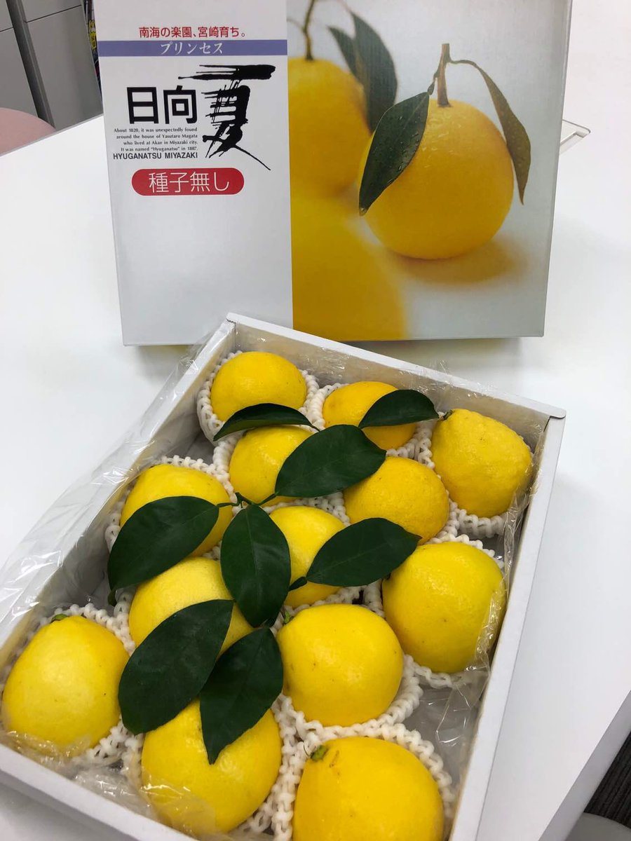 kbc_zuki's tweet photo. 毎週金曜10:40〜宮崎てげe旅。本日3/5のプレゼントは「日向夏」！ほんのり甘みのある白皮と爽やかな酸味のある果肉を是非一緒に食べて下さい！詳しくは「宮崎てげe旅」で。ご応募お待ちしています！
#しゃべりずき
#宮崎てげe旅
#日向夏 https://t.co/ZF6OIlcZv1