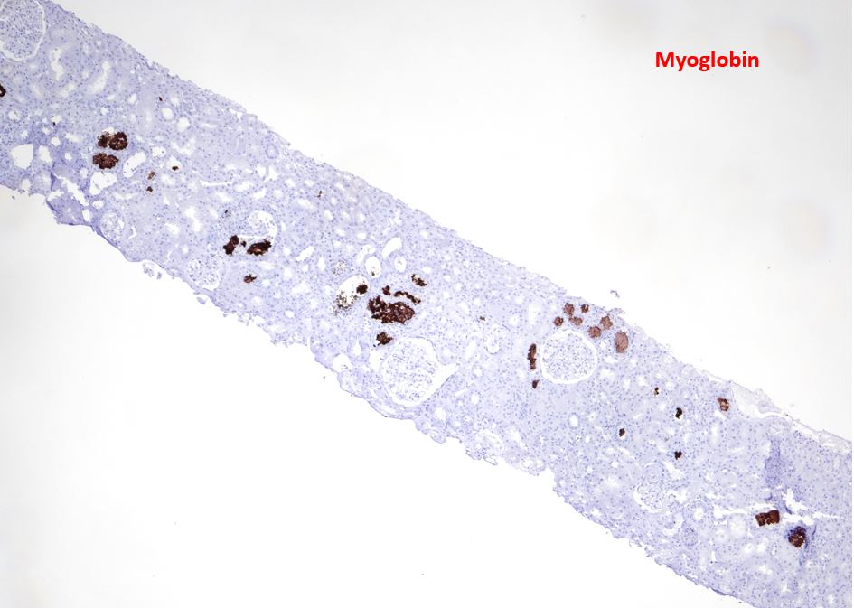 Jean Hou, MD tweet media