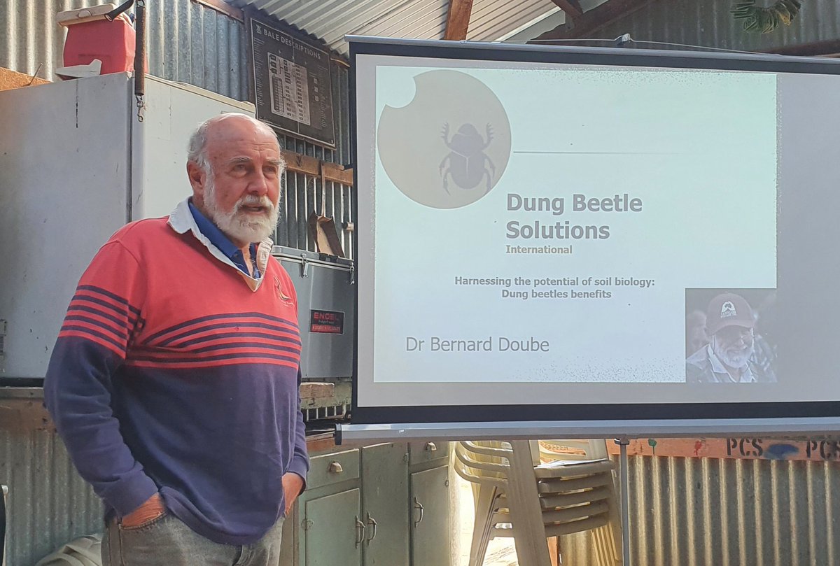 Talking dungies, soil, livestock, flies, drenches, pastures, earthworms, roots, water infiltration and 50y of research and development with the guru, Dr Bernard Doube at the <a href="/MacKillopGroup/">MFMG</a> #DungBeetleEcosystemEngineers workshop and field walk at Beachport 🪲🪰🐮🌱