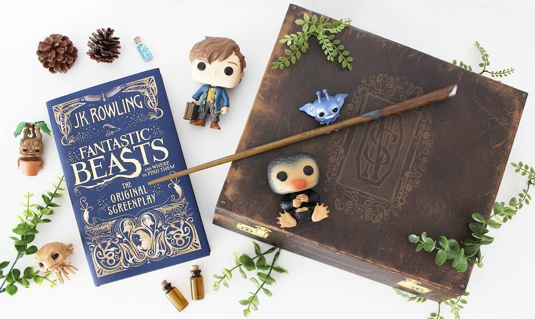 SpeakBeasty's tweet photo. We love a good #Simplistic flat lay that does two things:
1) Brings calm to our day
2) Makes us want to watch #FantasticBeasts for the 3rd time this week
#SpeakBeasty #NewtScamander #Niffler #CornishPixie #Mandrake https://t.co/KjJSJD48k3