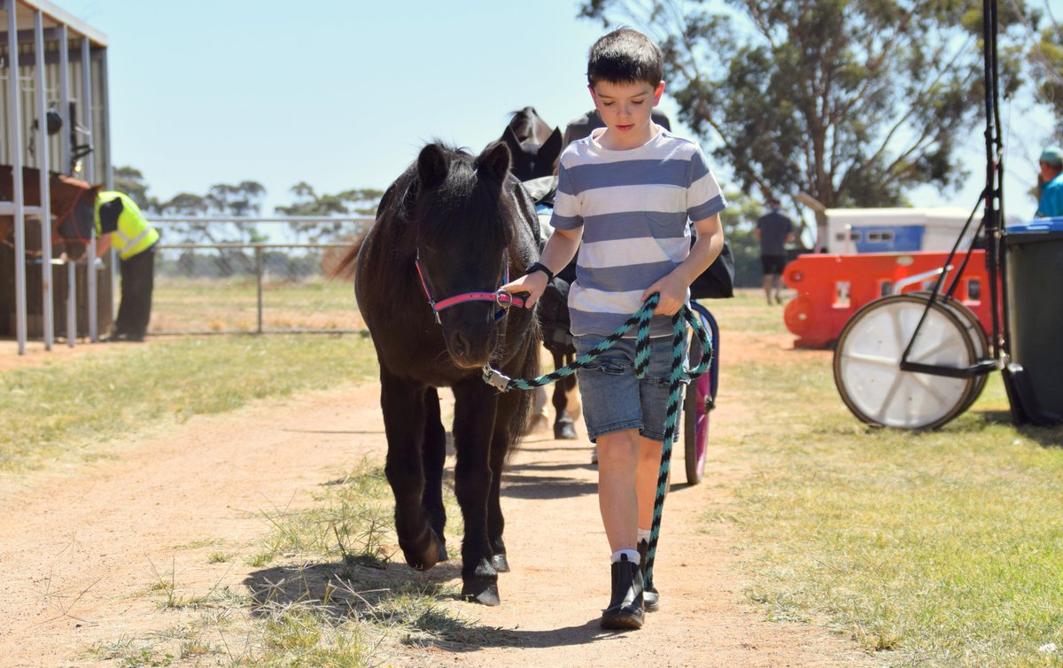 Seen the pony trotter stars taking part in the <a href="/ChrisAlford5000/">Chris Alford</a> &amp; <a href="/grsugars/">Greg Sugars</a> Pony Trot Cup at Boort on Sunday? Some lovely snaps in our album here: facebook.com/media/set/?van…

Pony Trots Victoria is proudly sponsored by <a href="/HygainFeeds/">HYGAIN Feeds</a>