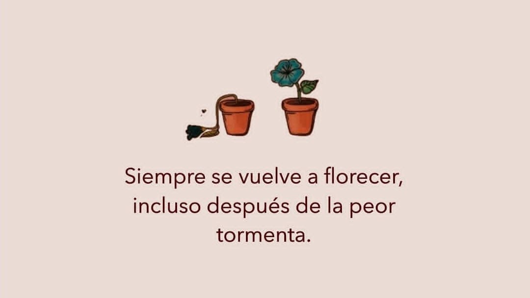 escritos♡ (@escritoadictivo) on Twitter photo 