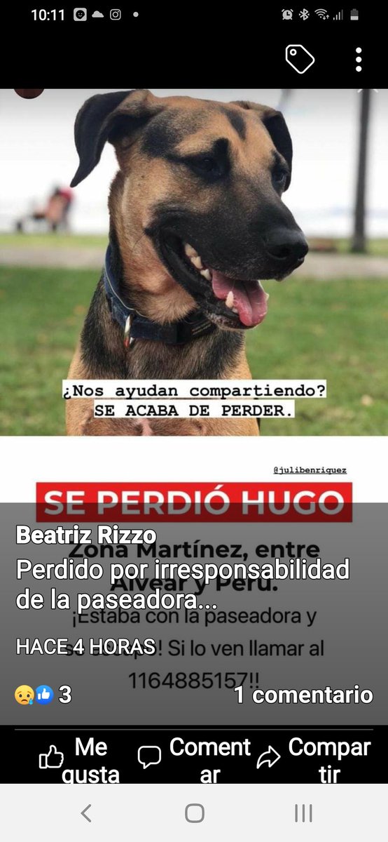 cloclo_paloma's tweet photo. SE PERDIÓ  HUGO!!!

RTRTRT 
Xfavooooor 

@AgustiniZunilda @dalyruizh @acarola0 @cintialeguiza81 @acarola0 @NancyMokry @AgustiniZunilda @lizytagliani @soyleomontero @mebolcomba @alegre_biel1971 @BadenCash @Celeste_Box @animalitosdfsur https://t.co/tVmLjJHt1y