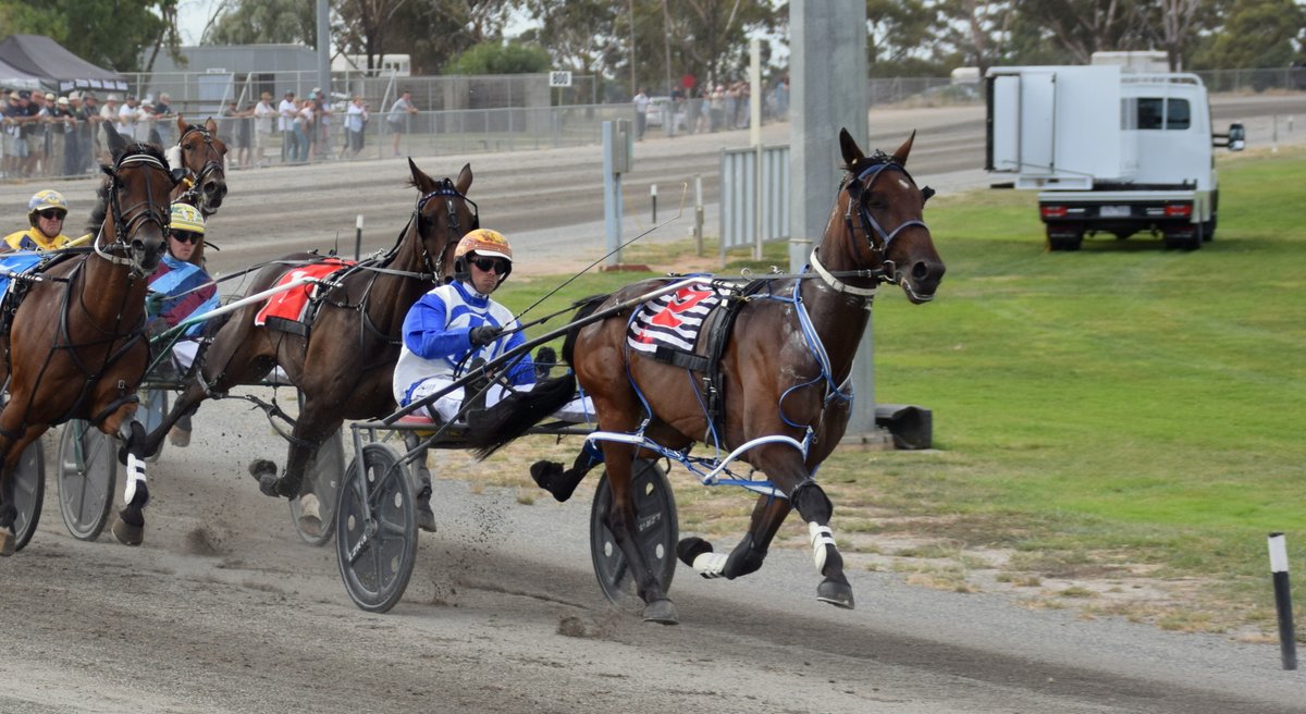 Have you taken a look at our album from the 2021 Cr Neil Beattie Boort Pacing Cup? All the runners, plus winner #ImAnothermasterpiece &amp; James Herbertson in the Glasheen centenary colour:
facebook.com/media/set/?van…

<a href="/TrotsClubsVic/">Trots Clubs Victoria</a>