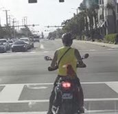 MotorMaids's tweet photo. From one of our riders who is out and about. Do any of you take your parrot for joy rides??! https://t.co/YQkcNkNkj9