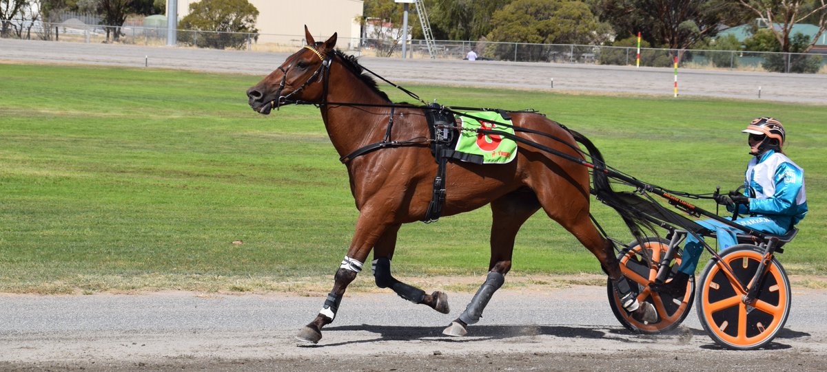 Taken a look at our 2021 <a href="/PeterWalshMP/">Peter Walsh</a> Boort Trotters Cup album yet? One of our five #TeamTeal winners for the day!
facebook.com/media/set/?van…

<a href="/TrotsClubsVic/">Trots Clubs Victoria</a>