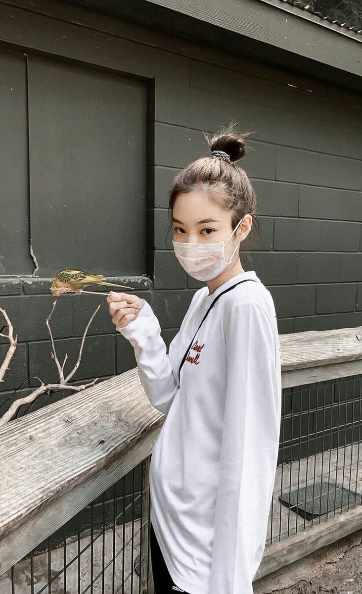 nethaalxndr tweet media