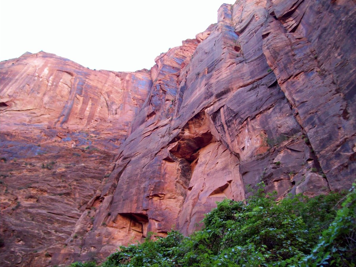 theladybeatric3's tweet image. #MarchPhotoADay #Landscapes My photos of Zion National Park in Utah.  I’m so ready to travel again!