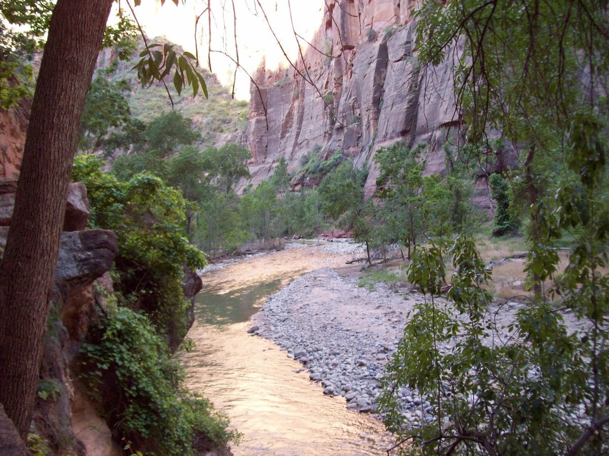 theladybeatric3's tweet image. #MarchPhotoADay #Landscapes My photos of Zion National Park in Utah.  I’m so ready to travel again!