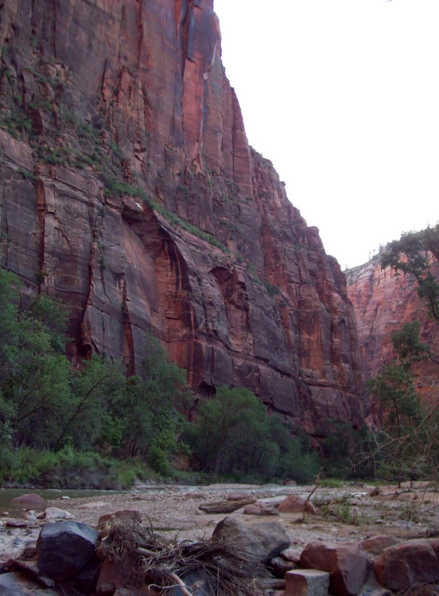 theladybeatric3's tweet image. #MarchPhotoADay #Landscapes My photos of Zion National Park in Utah.  I’m so ready to travel again!