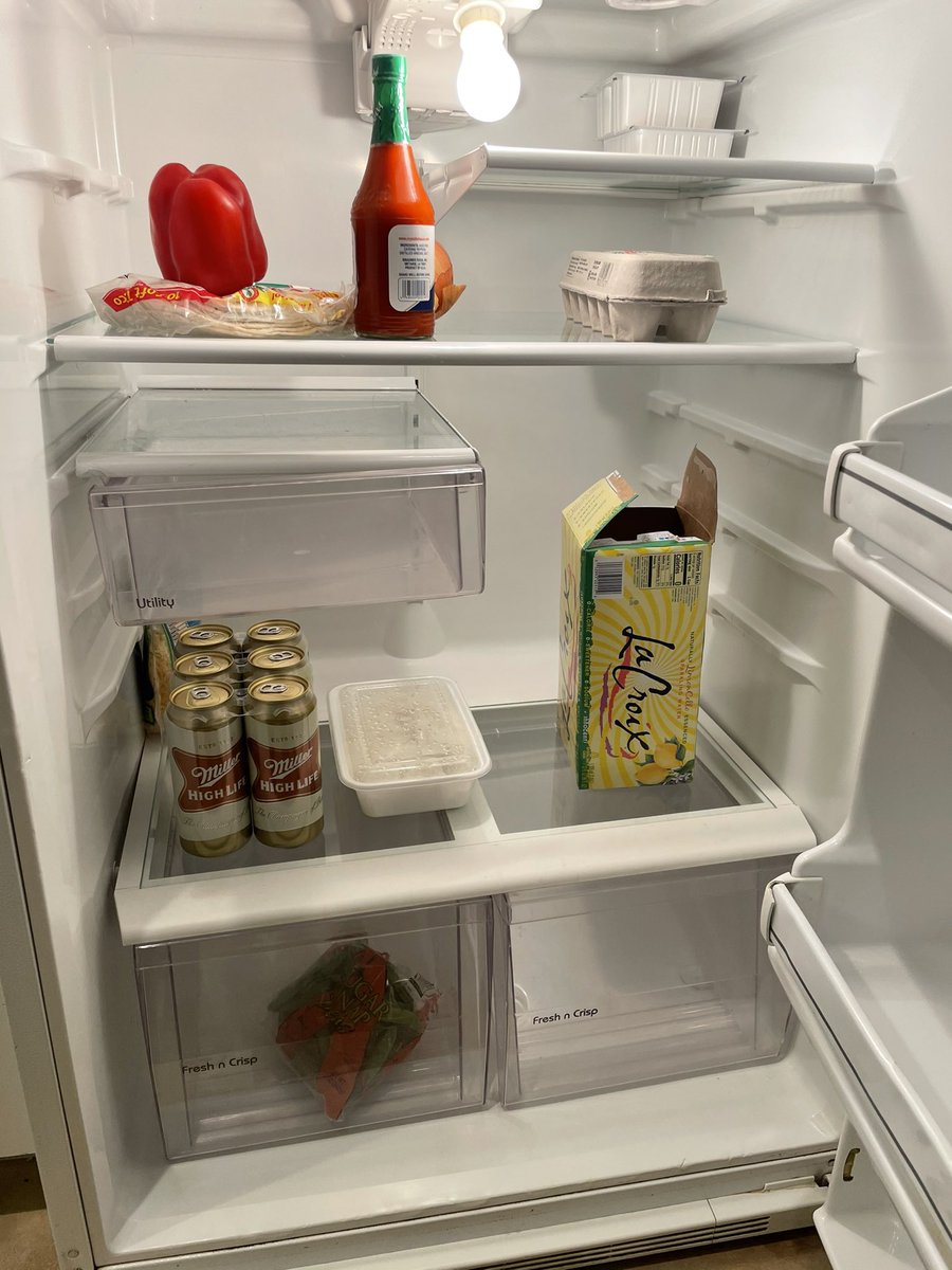 this is the ideal male refrigerator