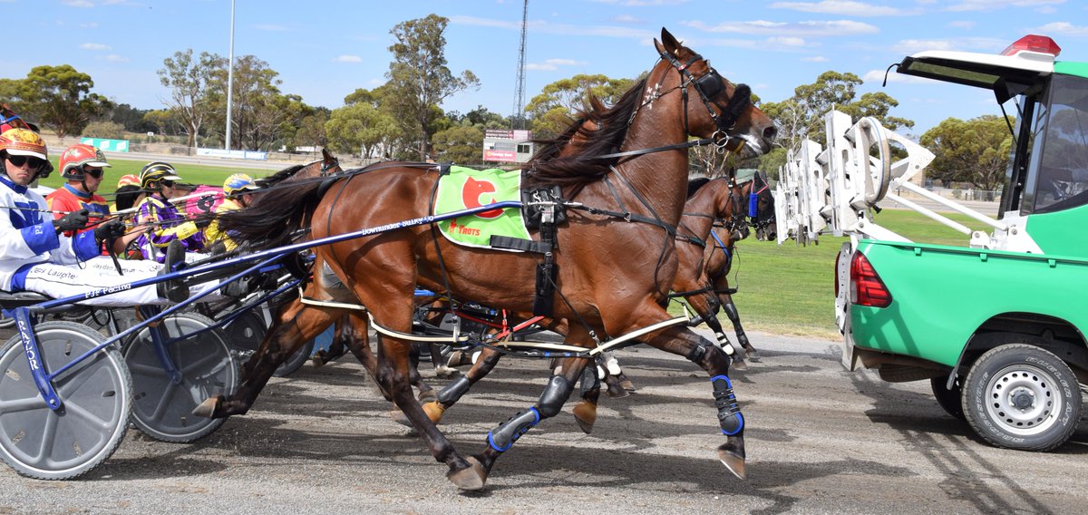 All the runners in Sunday's Nutrien Ag Boort Foley Tribute, now up on our Facebook album - tag and share here:
facebook.com/media/set/?van…

<a href="/TrotsClubsVic/">Trots Clubs Victoria</a>