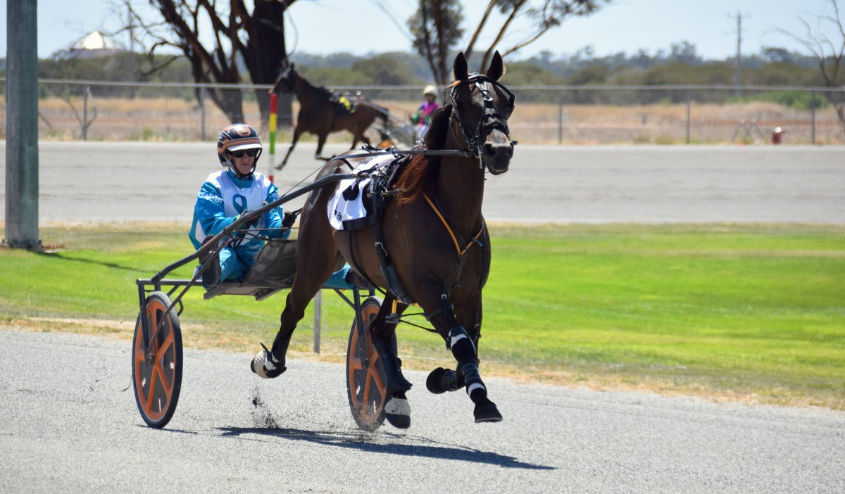 Our Boort Lakes Holiday Park Robert Coutts Tribute was a cracking race - take a look at our album on runners and results here (another of our #TeamTeal winners!): 
facebook.com/media/set/?van…

<a href="/TrotsClubsVic/">Trots Clubs Victoria</a>