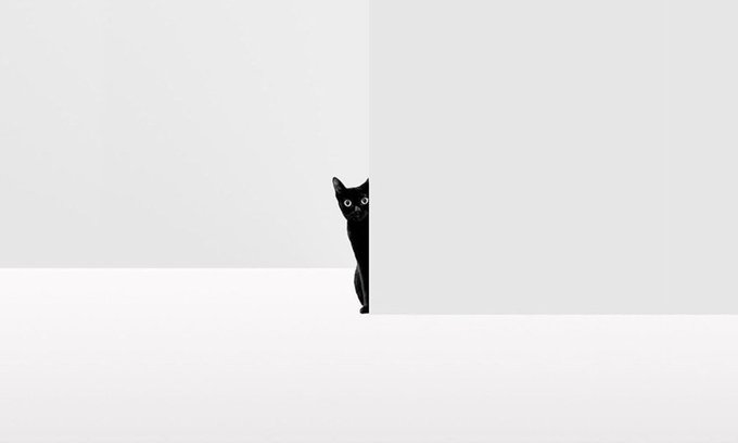El miedo no evita la muerte. 
El miedo evita la vida.

Naguib Mahfouz