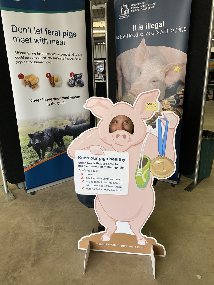 jemmathomas263's tweet photo. All things African swine fever and swill feeding @woolorama -come chat to Louise! @DPIRDbroadacre https://t.co/8WmpyLoPbx