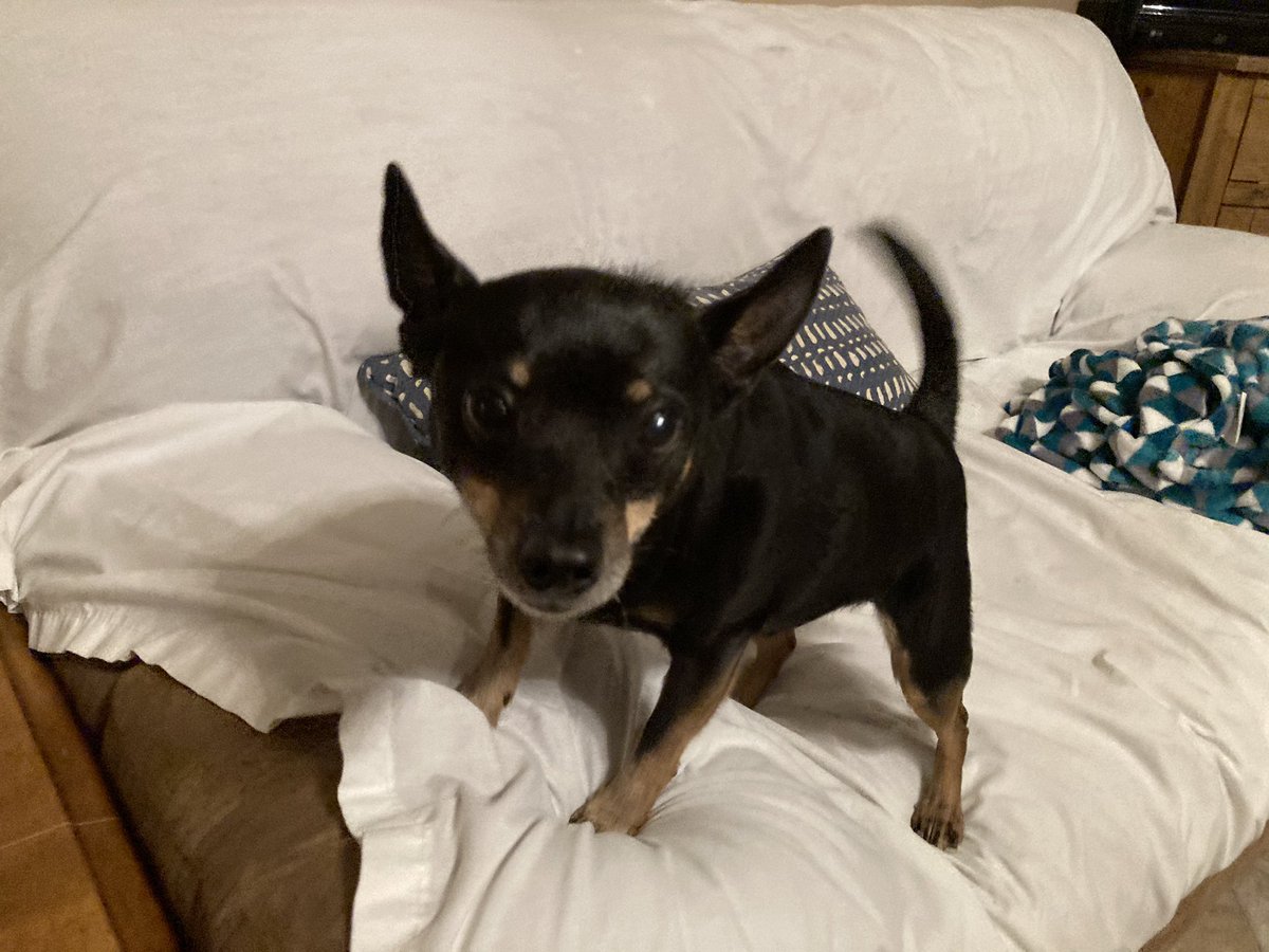 EastTXDana tweet media