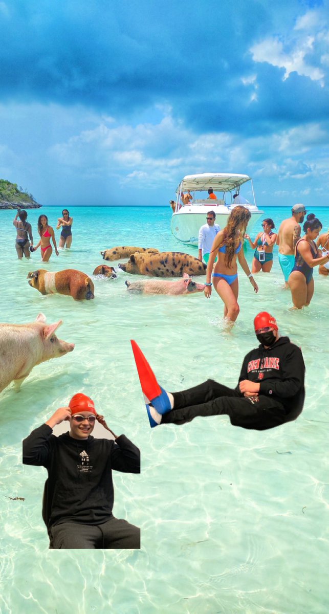 just2APUSHnerds's tweet photo. Bay of Pigs invasion (1961) colorized @EPHSSnyder @butes25 #EPAPUSH https://t.co/Cg2KavppP7