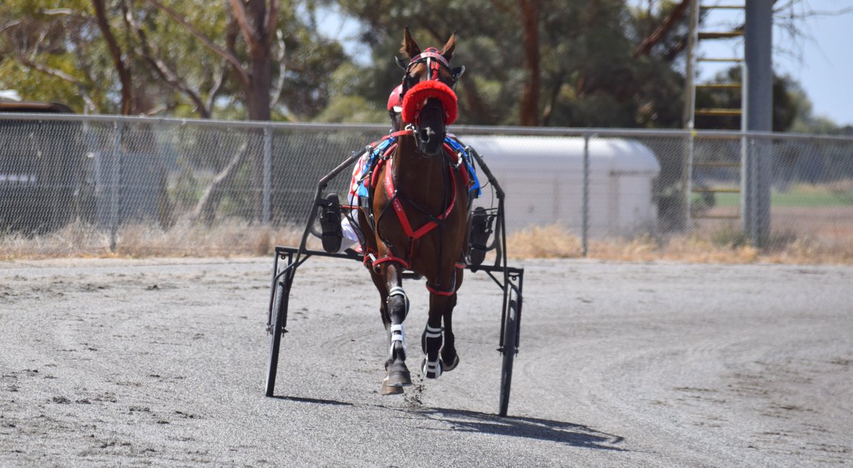 Seen the horses that took part in the Keith &amp; Dawn McClelland Tribute on Sunday's cup card? You'll find all of them here in this album: facebook.com/media/set/?van…

<a href="/TrotsClubsVic/">Trots Clubs Victoria</a>
