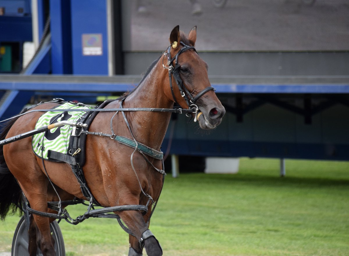 A nice little field wrapped up our Cup meeting on Sunday in the Dwyer Tribute - take a look here in this dedicated album: facebook.com/media/set/?van…

<a href="/TrotsClubsVic/">Trots Clubs Victoria</a>