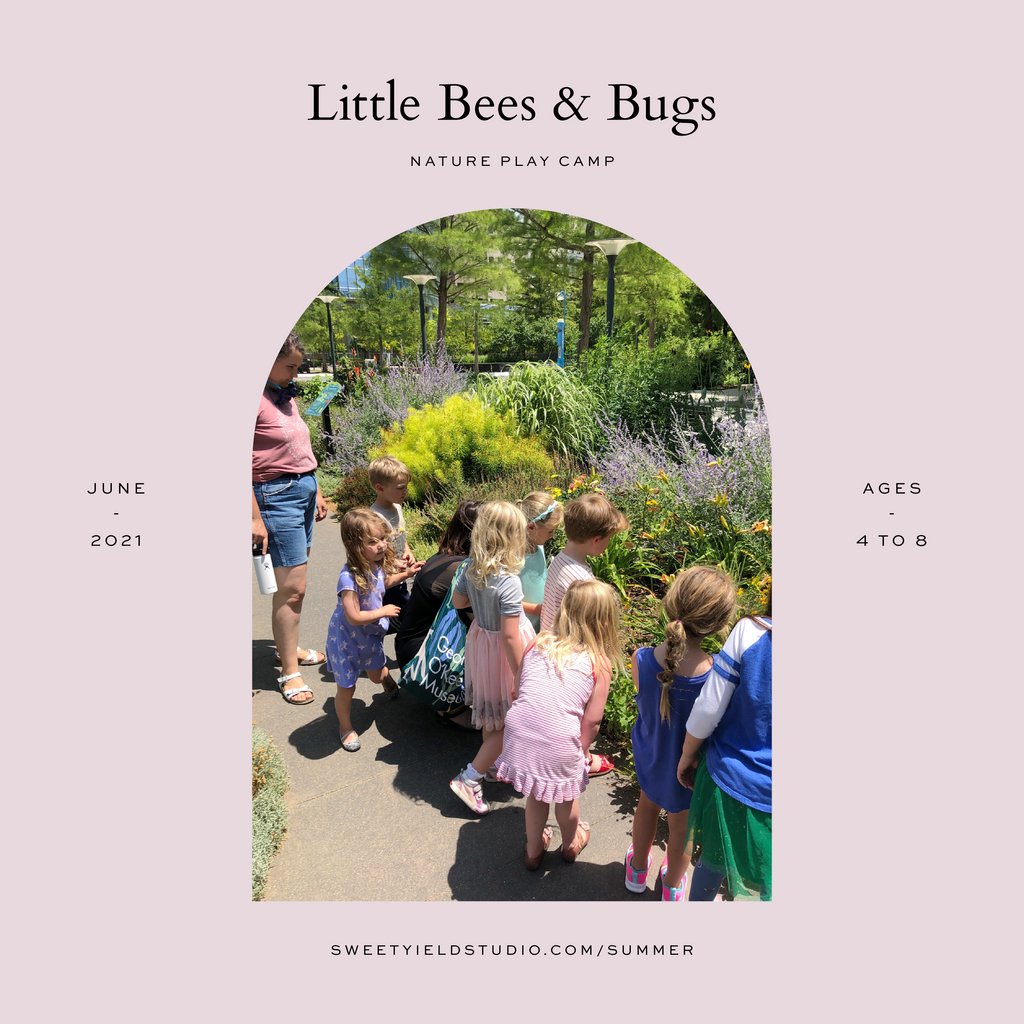 SweetYield's tweet image. 🍃  psst..Summer Camps are here! We've dreamed up a variety of fun experiences including art camp, dance camp, nature play camp, and our signature Sweet Yield Magic Summer Camp. Visit bit.ly/sys2021summerc… to secure your kiddo's spot for a super fun and happy summer!