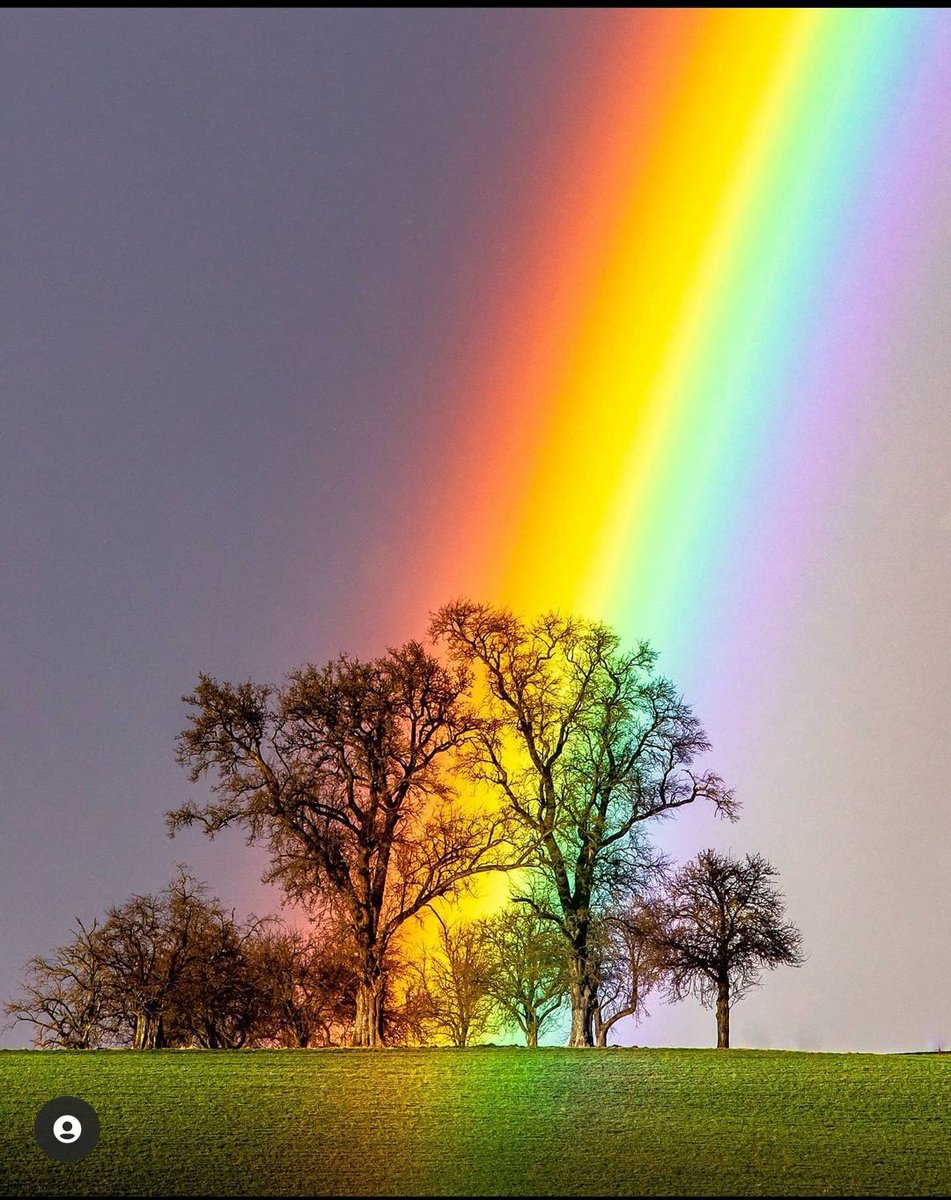 clase insulto Temporada Muchas Cosas Reales on Twitter: "#Arcoiris #nature #photography #fotografia  #beautydestination #planetearth #planetatierra #rainbow #colors #colores  #austria https://t.co/KQ8DfyQCsG" / Twitter