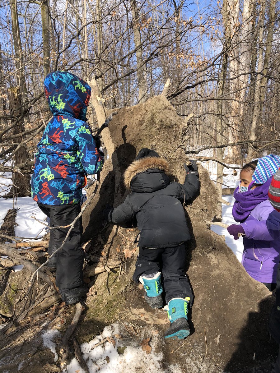 MsRumsby's tweet photo. The forest π³ is a magical place to play and learn! Natureβs own playground! @NOmoghan @StortoK2 #noworksheetshere https://t.co/RtOuQuLl6n
