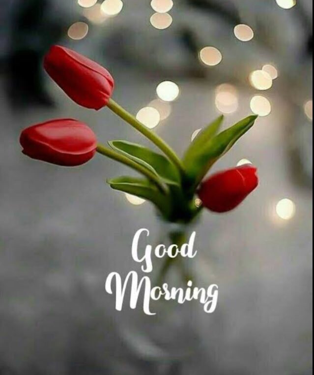 Good morning friend have a nice day
<a href="/Faizakram10011/">Faizakram</a> <a href="/mariyam8420/">Mariyam Khan (مریم خان)</a> <a href="/Dianne__LadyD/">Lady D</a> @FaAlifAnsari @Faizu_Mewati <a href="/Faisal_ffaisu/">Faisal Farooqi</a> <a href="/justinbieber/">Justin Bieber</a> <a href="/JohnCena/">John Cena</a> <a href="/KarlMathiesen/">Karl Mathiesen</a> <a href="/juozas_olekas/">Juozas Olekas 🇪🇺</a> <a href="/zammit_marc/">Marc Zammit</a> <a href="/vitoriaLuis22/">Maria</a> <a href="/Ashi_Jamal_khan/">Adv.A.J Kh@n</a> <a href="/qarisohaibrjd/">Qari Sohaib</a> <a href="/juozas_olekas/">Juozas Olekas 🇪🇺</a> <a href="/OSEBE16/">Florah</a> <a href="/feyzullahdogru/">Feyzullah Doğru</a>