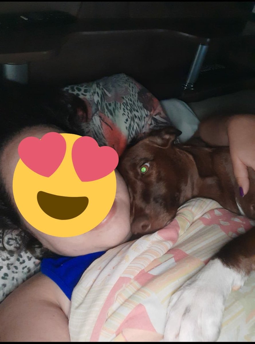 HS_Cupcake_'s tweet photo. Iti malia, mimi agarradinha na mamãe 🥰
 @BichinhosFB https://t.co/z2zRPYxhNK