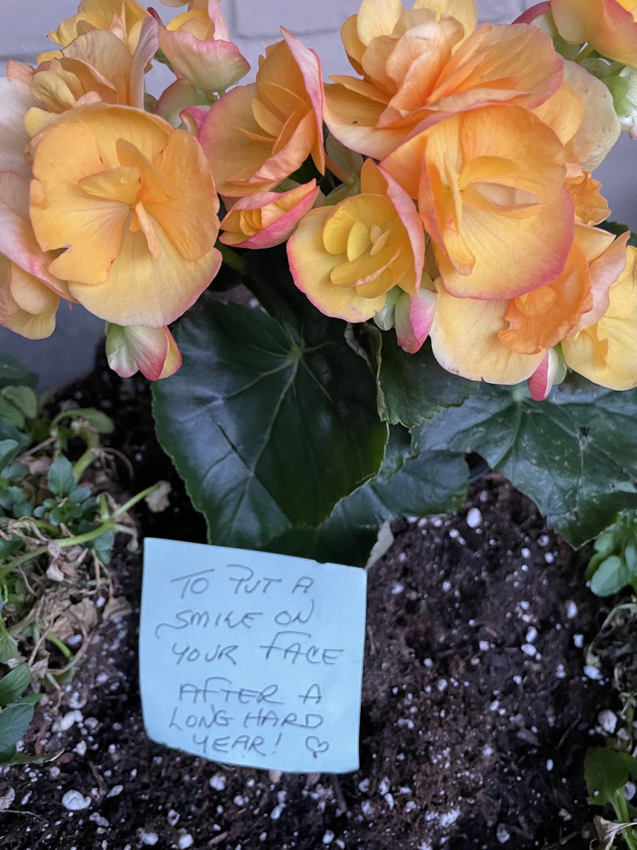 mudd_lotus's tweet photo. my neighbor left these flowers and note on my porch today. #thankyou #simplegestures #kindness https://t.co/mCfOskZNtO