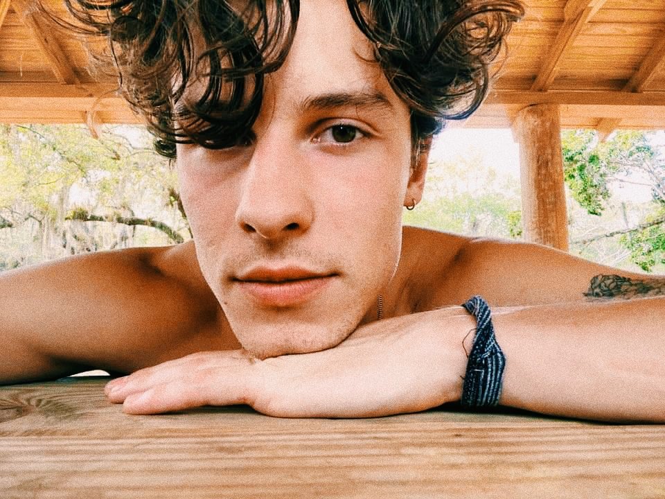 Shawn Updates tweet media