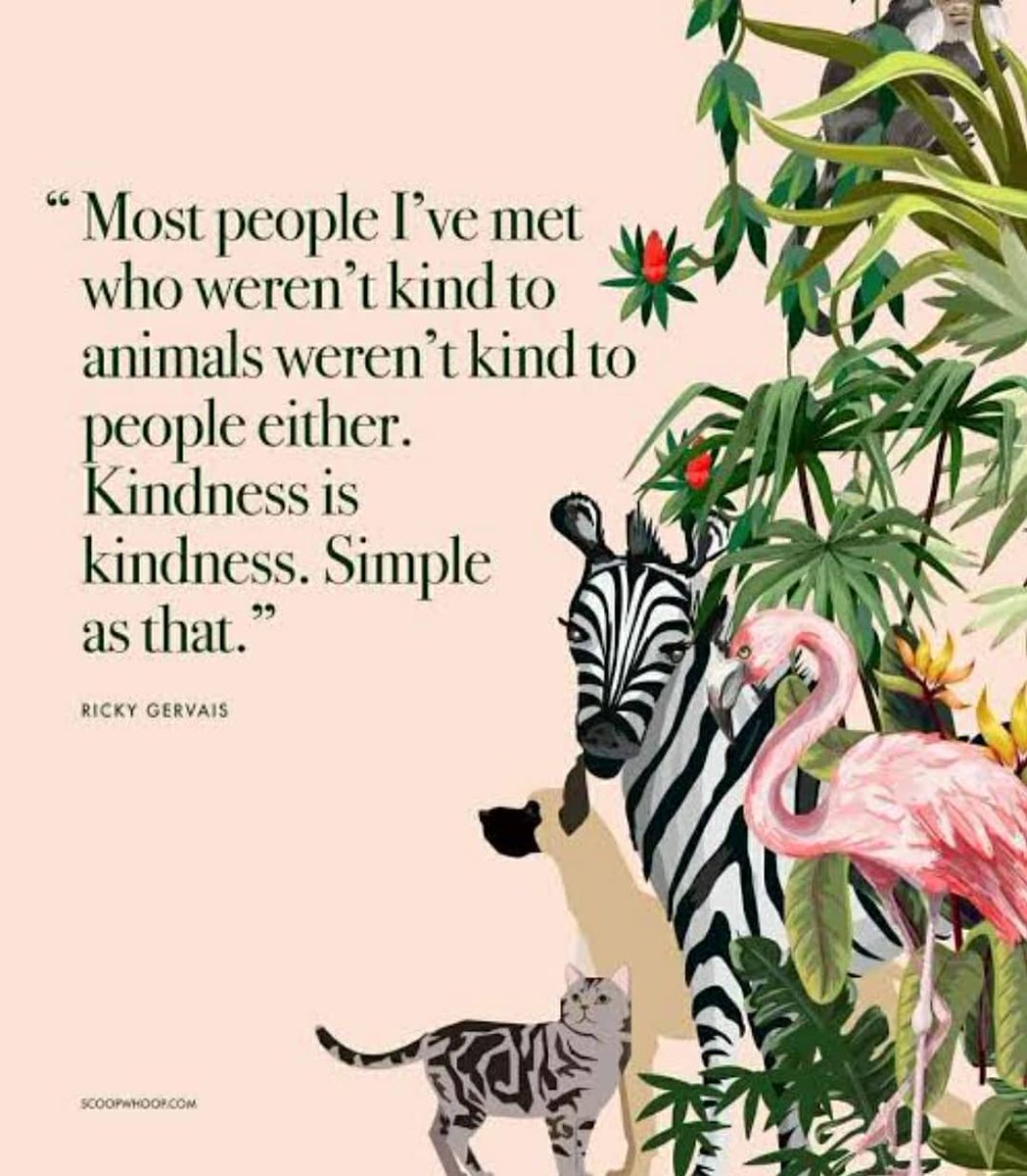 Ridhimakandru's tweet photo. Adopt, if you cannnot adopt, volunteer, if you cannot volunteer, donate, if you cannot donate, spread the word. Do your bit, feed one save all.
#friendlyreminder #zerowasteindians_desi #bekindtoanimals #kindtoallkinds #kindness #gogreen #desizwjourney #merrywater #reminders https://t.co/xQoiOOVBrR