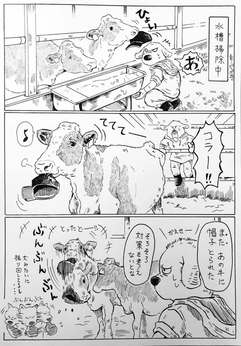以前描いた牛に物を取られてる(引っ張られてる)従業員漫画↓ 