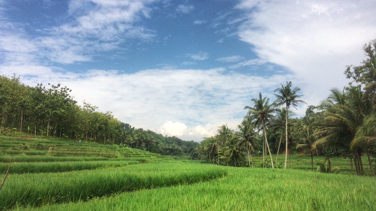 Sekadar penikmat pemandangan.