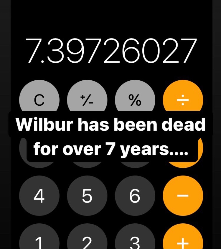 Oh shit... (Btw this is from my story on Instagram) #tommyinnit #wilbursoot #dreamsmp