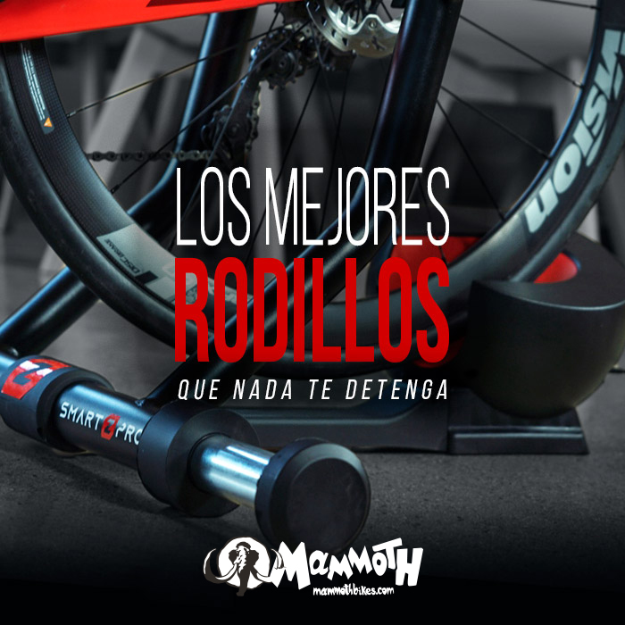 mammoth_bikes's tweet photo. 🚨LOS MEJORES RODILLOS PARA BICICLETA🚨
El entrenamiento indoor es muy importante y complementario al que podamos realizar en exterior. Contar con un rodillo en casa nos sacará de más de un apuro: https://t.co/YGL7z0882p
#rodillo #indoor #trainindoor #zycle #bkool #wahoo #elite https://t.co/pEOOSG1HWV