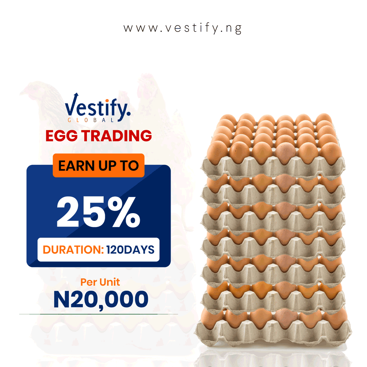 vestifyglobal's tweet photo. There is an increase in demand  and sales of eggs.
Invest in our Egg trading plan and earn up to 25% in 120 days.
Unit price:20,000 naira
Duration: 120 days
1-39 units 20%
40-79 units 22.5%
80 units and above 25%
Visit https://t.co/4G5dq5fF71
Call/message 07034146140, 07034146141 https://t.co/g6L4ZeAwt9