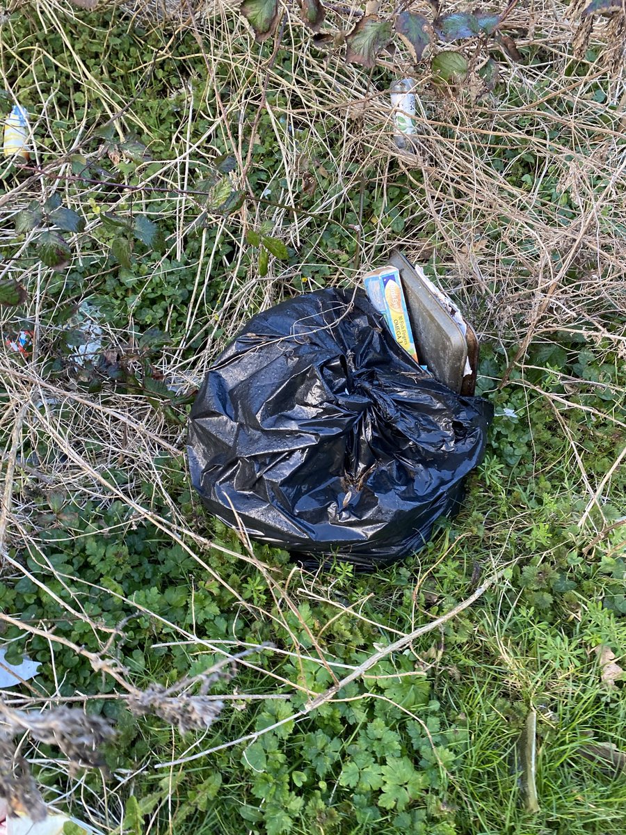 mike4463's tweet photo. @hullccinfo just a few from my walk around the field on Biggin ave bags of rotting food animals are not expected to live like this #angry https://t.co/HwkLoh6CY6