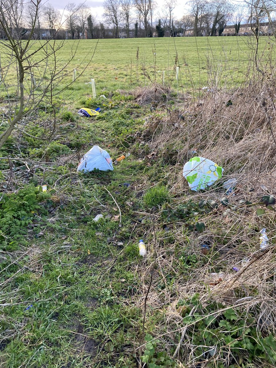mike4463's tweet photo. @hullccinfo just a few from my walk around the field on Biggin ave bags of rotting food animals are not expected to live like this #angry https://t.co/HwkLoh6CY6