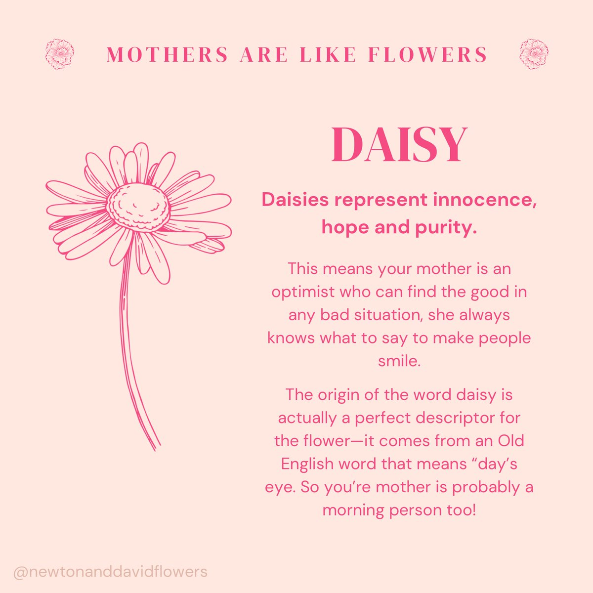 Newtonanddavid's tweet photo. Is your mother like a daisy 🌼? 

For the Mother’s Day season we started a series of posts called “Mother’s Are Like Flowers” which relates the beauty and personality of our mothers to flowers! RT if you’re mom is like a daisy 🌼

#untoldstoriesofmotherhood #MothersDay2021 https://t.co/J4gm31w1li