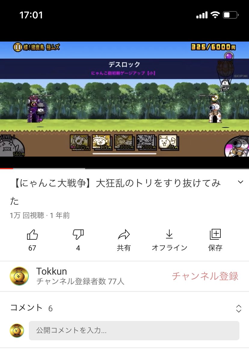 Tokkun Tokkun Neko Twitter Tokkun Tokkun Neko Twitter