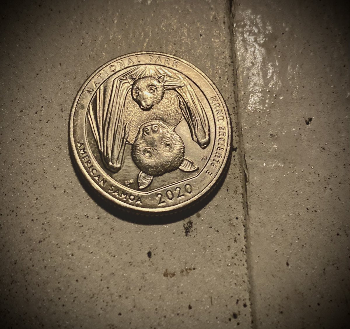 arthurhwebb's tweet photo. This is the back side on the 2020 quarters?! https://t.co/2rKeRDuDlj