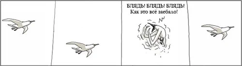 я сегодня весь день эта чайка 