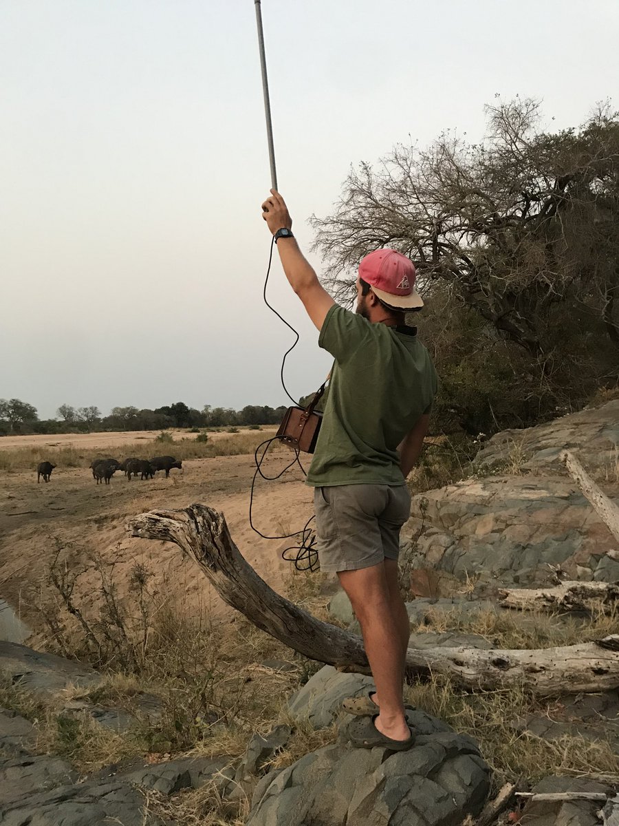 cfritsch_hippos's tweet photo. Covid budget cuts, so we using pool supplies in #conservationresearch π
#telemetry #conservation #madeaplan #southafrica https://t.co/9AXbddEgS8