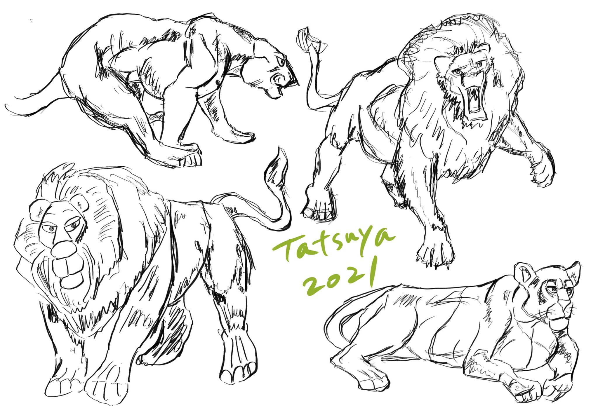 Tatsuya Nakane 今日 描いたのは ライオン ライオンの描き方を攻略中 いろいろ描きながら イラスト アニメのノウハウと 画力を向上中 Ipadair4 Ipad Applepencil2 Procreate Illustratoronipad イラスト