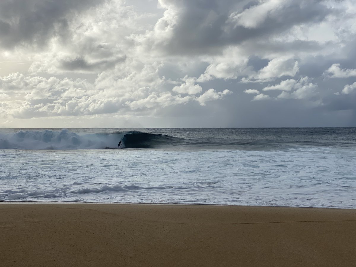 Susan Roderick tweet media