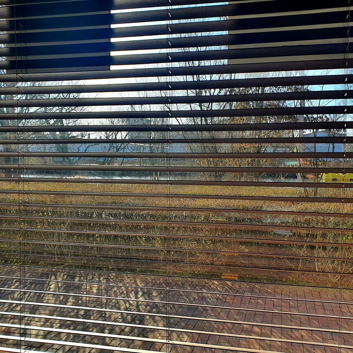 Ochtendzon en goede koffie.. 🥰
#goedemorgen #positivevibes  #mooiestartvandedag #officewithaview #thuiswerkdag #ditluktmijwel #endoor